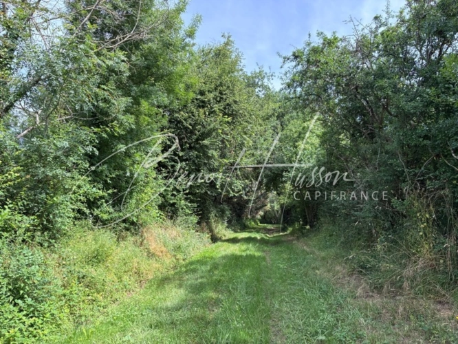 Photos 13 - Rurale - DOMAINE RURAL DE CARACTÈRE – 600 m² DE SURFACES – TERRAIN 6 843 m²