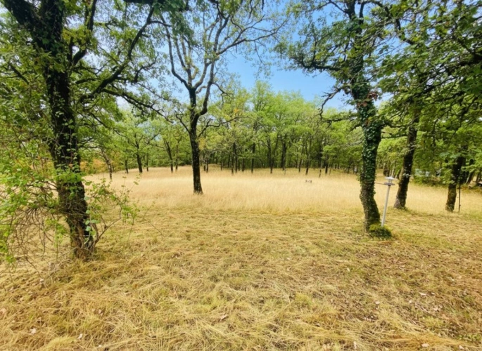 Photos 9 - Forestière - Maison de plein-pied un hectare de terrain St Géry Vers