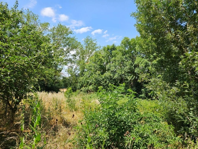 Photos 12 - Rurale - Partie de domaine sur 1.3 ha à Pennautier