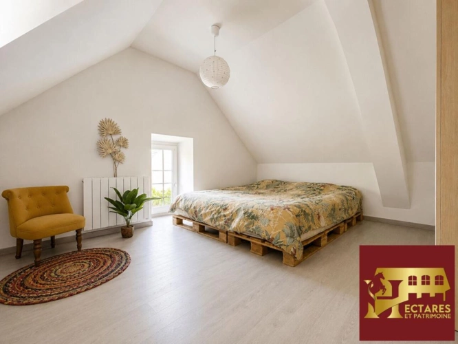 Photos 7 - Équestre - NOUVEAUTE MAISON DE CARACTERE AVEC INSTALLATIONS EQUESTRES