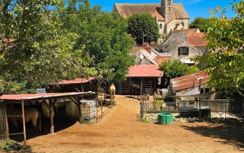 Photos 2 - Équestre - NOUVEAUTE MAISON DE CARACTERE AVEC INSTALLATIONS EQUESTRES