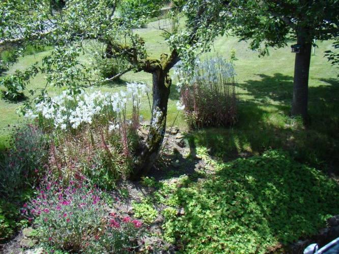 Photos 3 - Rurale - Propriété de caractère à vendre 6 pièces MAZILLE (71) dans le clunisois