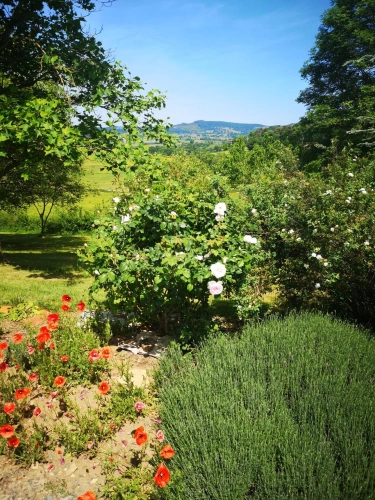 Photos 13 - Rurale - Propriété de caractère à vendre 6 pièces MAZILLE (71) dans le clunisois