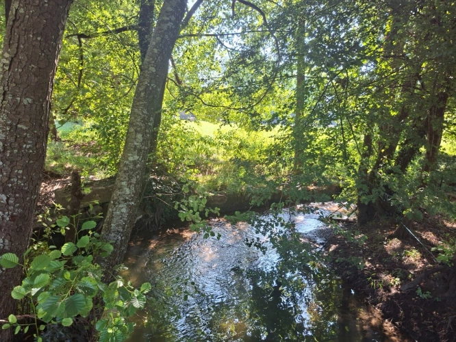 Photos 4 - Prestige - Domaine golfique en Périgord (24)