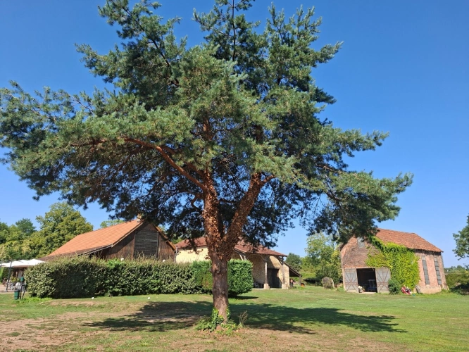 Photos 7 - Prestige - Domaine golfique en Périgord (24)