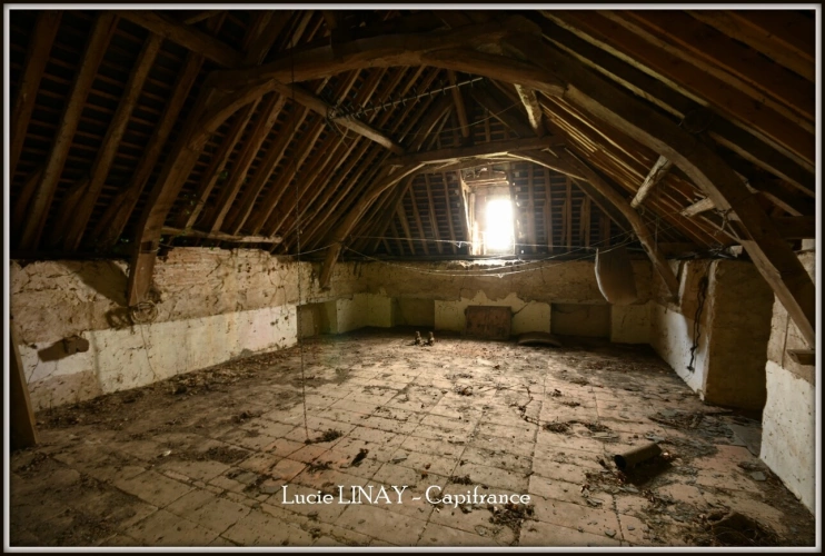 Photos 6 - Rural - Propriété sur 18ha