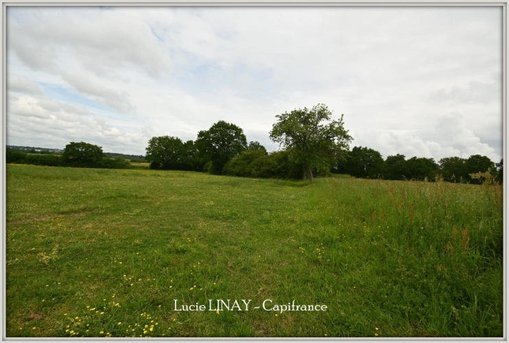 Photos 9 - Rural - Propriété sur 18ha