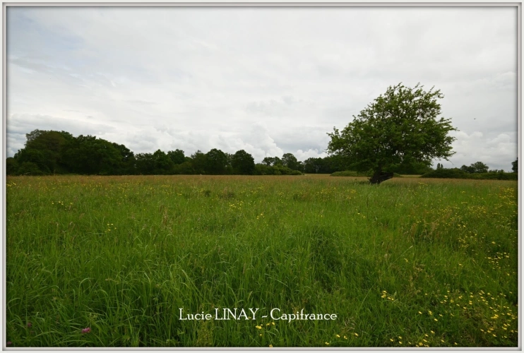 Photos 10 - Rural - Propriété sur 18ha