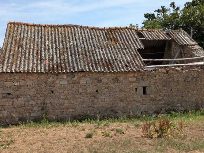 Photos 15 - Prestige - NOSTANG PROPRIÉTÉ COMPOSÉE D'UNE MAISON EN PIERRE À RÉNOVER AVEC TROIS DÉPENDANCE UN PUITS ET 21 HECTARES ENVIRON
