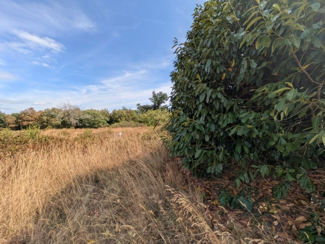 Photos 19 - Prestige - NOSTANG PROPRIÉTÉ COMPOSÉE D'UNE MAISON EN PIERRE À RÉNOVER AVEC TROIS DÉPENDANCE UN PUITS ET 21 HECTARES ENVIRON