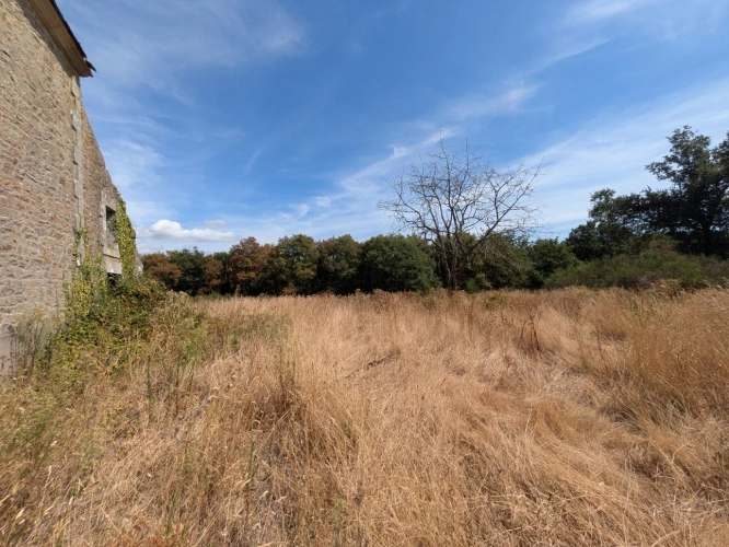 Photos 20 - Prestige - NOSTANG PROPRIÉTÉ COMPOSÉE D'UNE MAISON EN PIERRE À RÉNOVER AVEC TROIS DÉPENDANCE UN PUITS ET 21 HECTARES ENVIRON