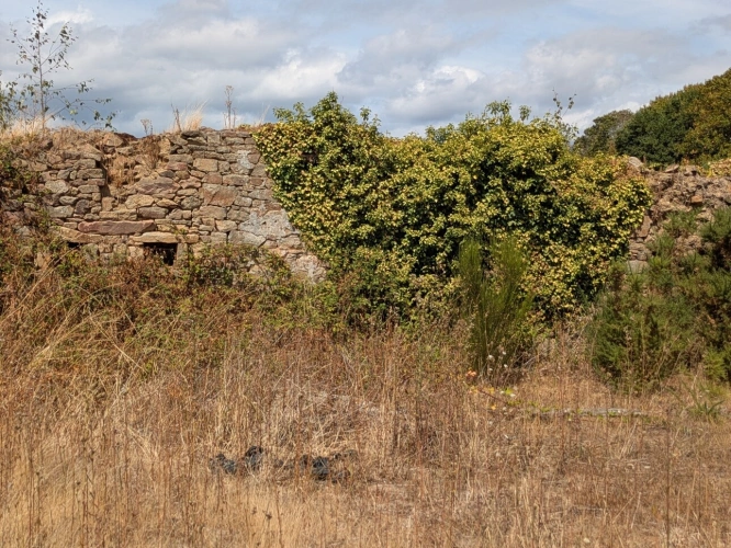 Photos 22 - Prestige - NOSTANG PROPRIÉTÉ COMPOSÉE D'UNE MAISON EN PIERRE À RÉNOVER AVEC TROIS DÉPENDANCE UN PUITS ET 21 HECTARES ENVIRON