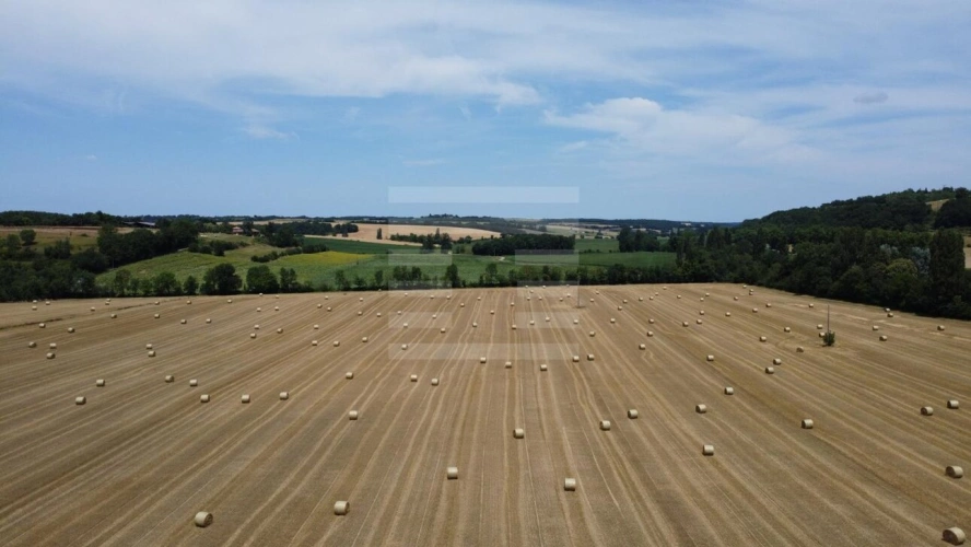 Photos 2 - Agricole - Propriété agricole