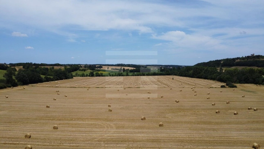 Photos 3 - Agricole - Propriété agricole