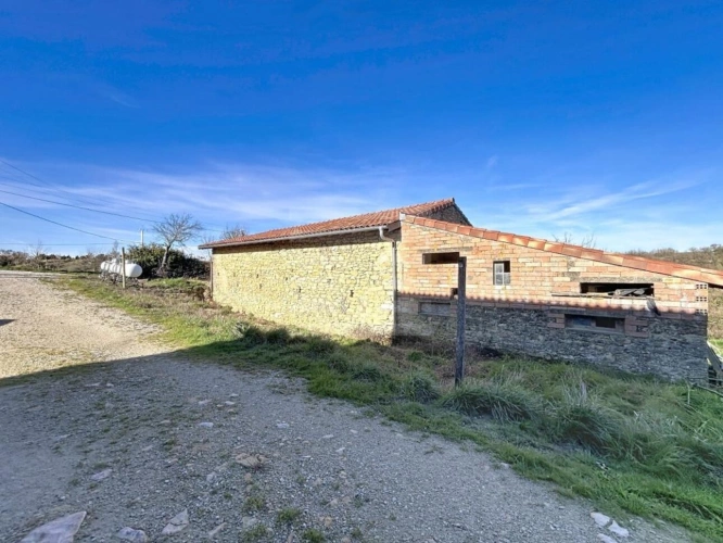 Photos 9 - Rurale - Propriété agricole