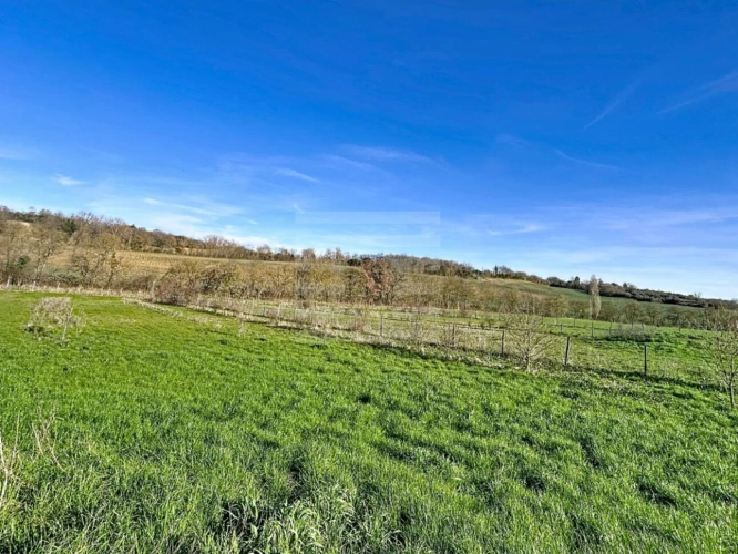 Photos 13 - Rurale - Propriété agricole