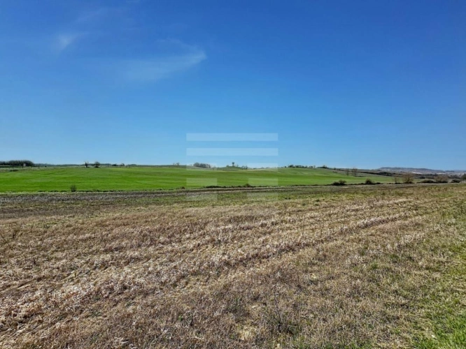 Photos 1 - Agricole - Terrain agricole