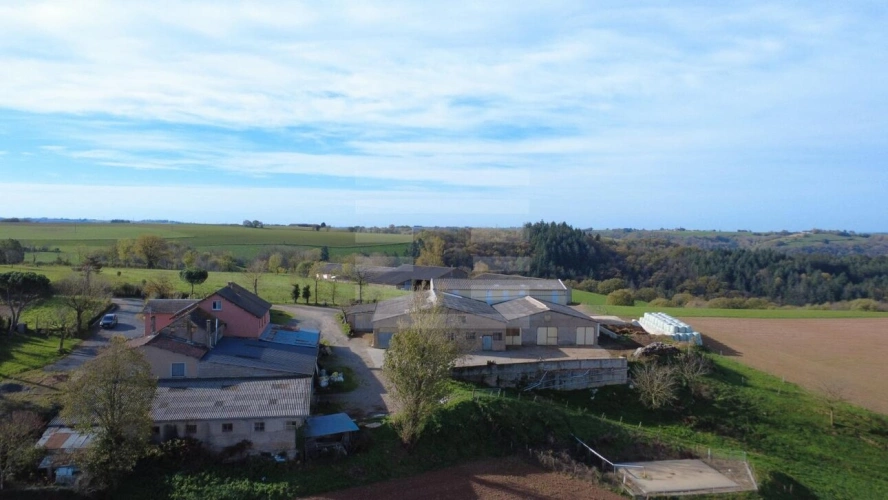 Photos 1 - Agricole - Ovins / Caprins