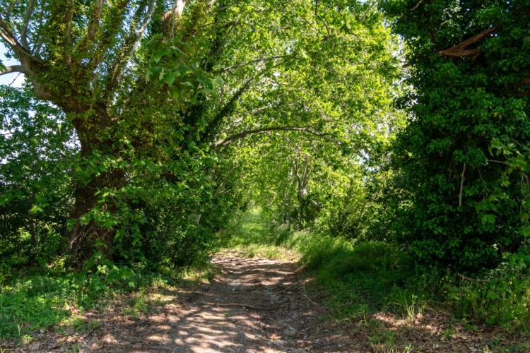 Photos 9 - Touristique - Propriété viticole