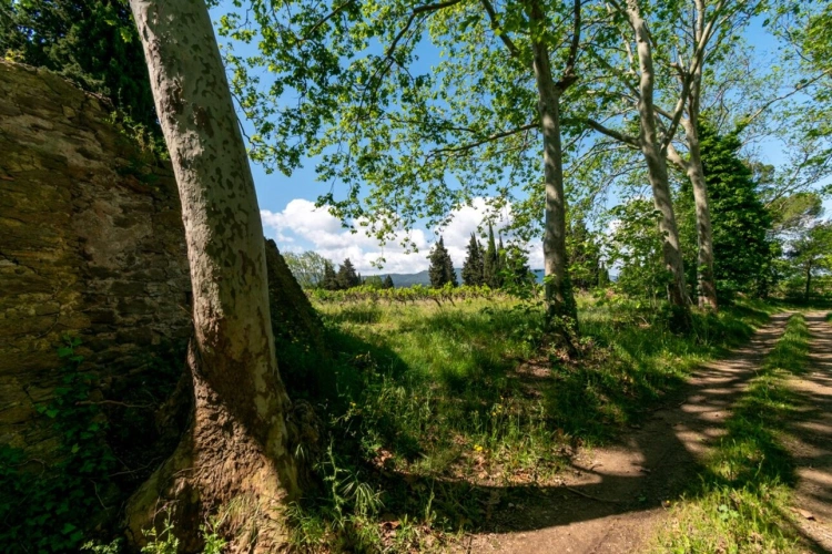 Photos 11 - Touristique - Propriété viticole