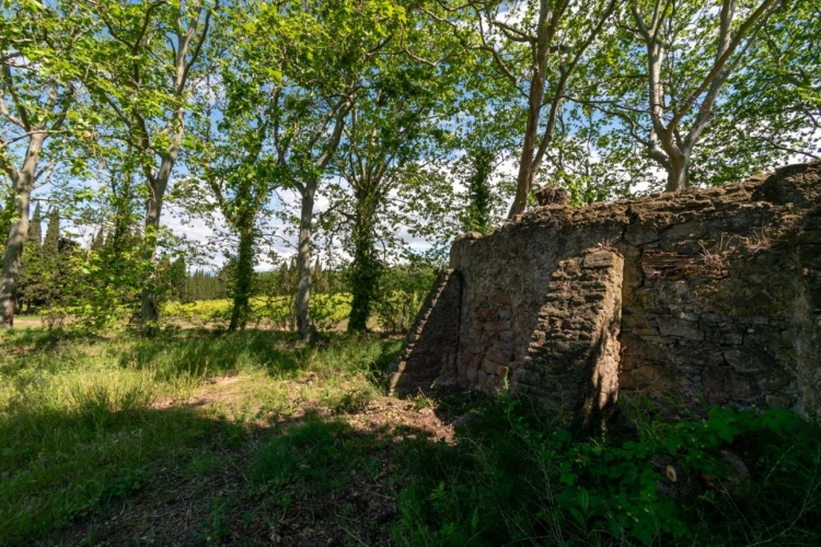Photos 12 - Touristique - Propriété viticole