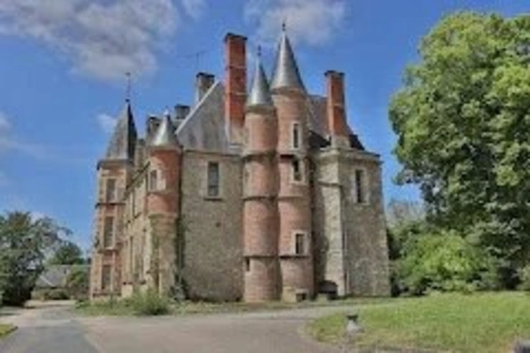 Photos 2 - Prestige - Château à VIERZON (18)