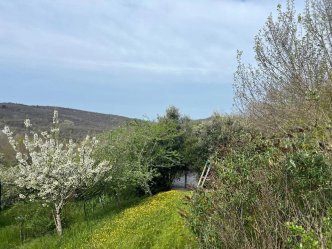 Photos 11 - Touristique - Maison de caractère avec gite et appartement - 265 m² - piscine - 1,5 ha - Vaour (Tarn)