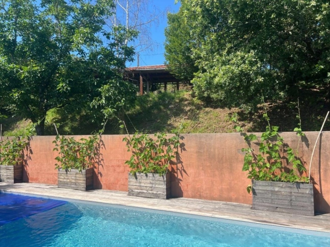 Photos 12 - Touristique - Maison de caractère avec gite et appartement - 265 m² - piscine - 1,5 ha - Vaour (Tarn)