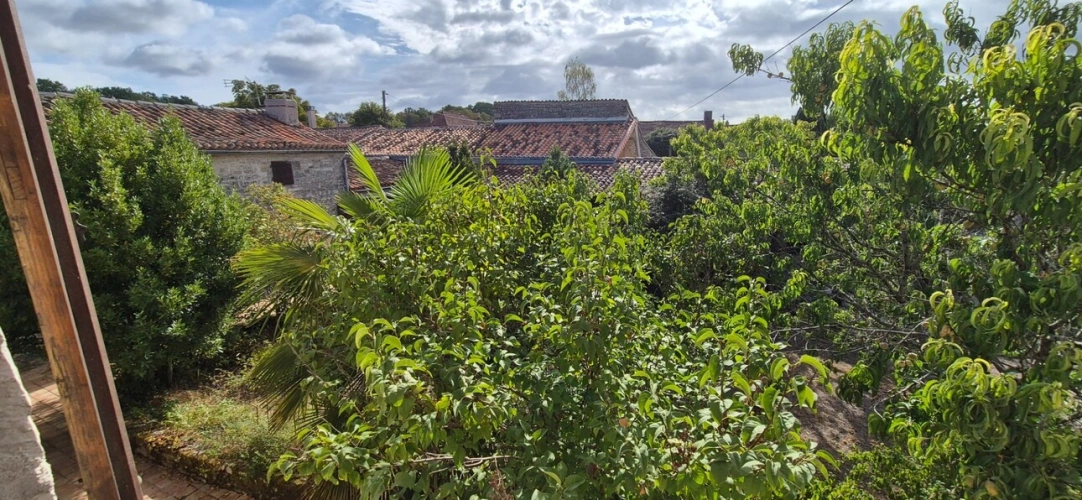 Photos 29 - Rurale - Corps de Ferme de 340 m2, avec plusieurs maisons indépendantes et 200 m2 de dépendances