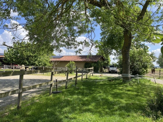 Photos 3 - Equestrian - Large, fully renovated family home, 2 hectares, equestrian area and building plot
