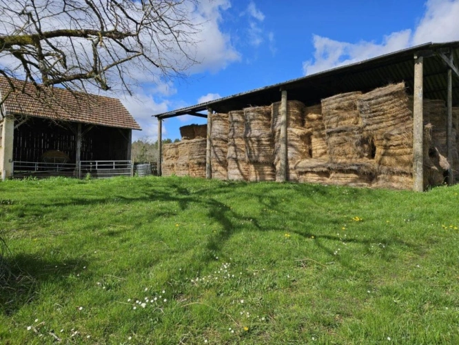 Photos 3 - Équestre - Corps de ferme en pierre - Un coin de paradis pour les amoureux de nature et de liberté