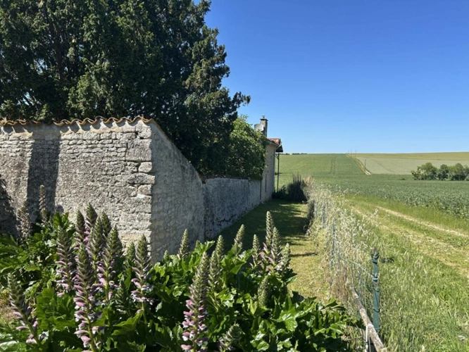 Photos 18 - Rurale - Élégance rurale et charme d'époque
