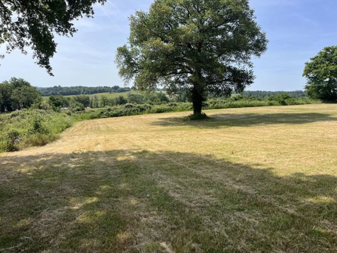 Photos 14 - Rurale - Villa  3 chambres sur un grand parc avec vue, endroit calme