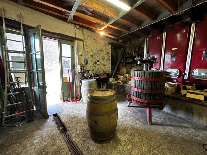 Photos 4 - Prestige - Charmante cave à vin, idéale pour être transformée en logement
