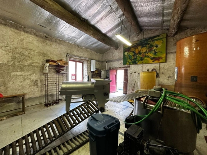 Photos 5 - Prestige - Charmante cave à vin, idéale pour être transformée en logement