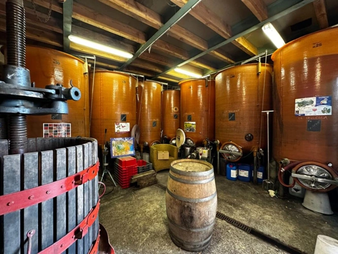 Photos 6 - Prestige - Charmante cave à vin, idéale pour être transformée en logement