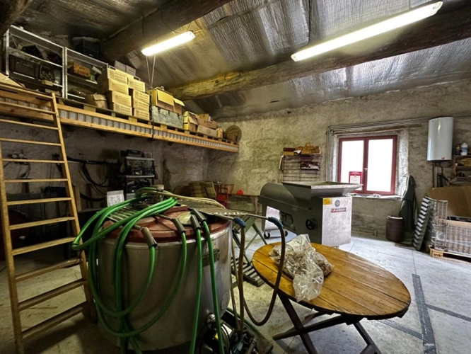 Photos 7 - Prestige - Charmante cave à vin, idéale pour être transformée en logement