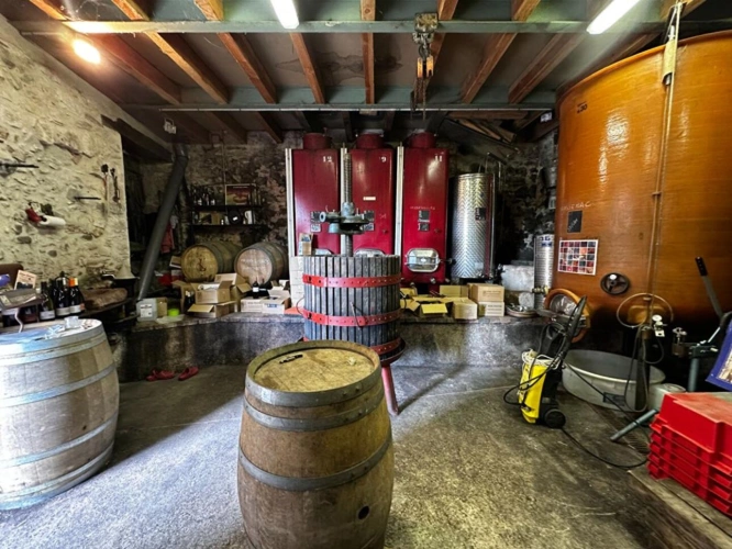 Photos 16 - Prestige - Charmante cave à vin, idéale pour être transformée en logement