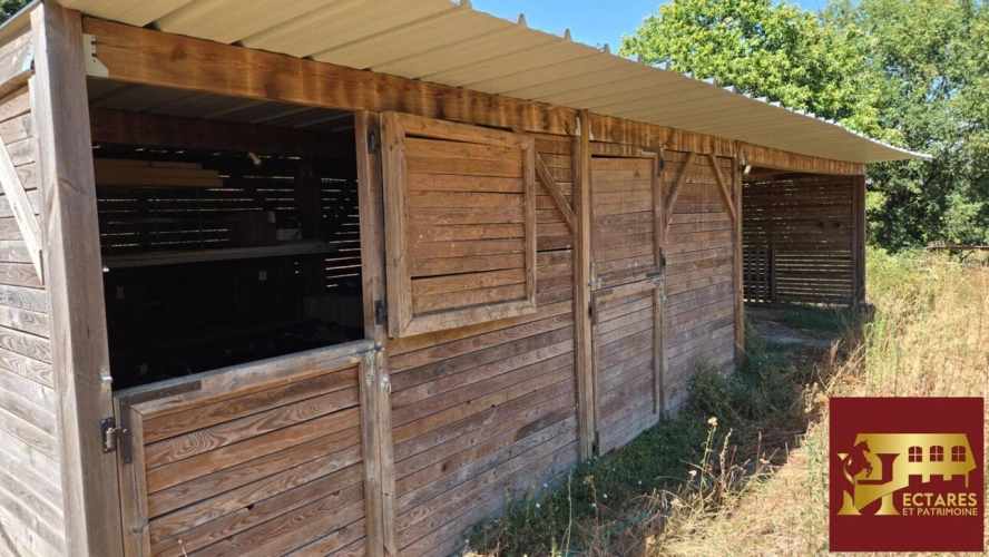 Photos 11 - Équestre - Maison de 180 m2 sur 6.5 hectares