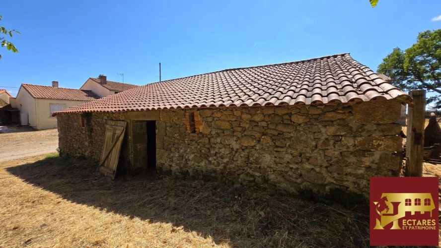 Photos 12 - Équestre - Maison de 180 m2 sur 6.5 hectares