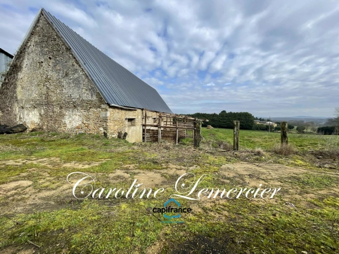 Photos 5 - Rurale - Maison à vendre 0 pièces proche de CONNERRE (72) GRANGE EN PIERRE DE 170 M² AVEC GRNIER SUR TOUTE LA SUPERFICIE , 2500 m² terrain en campagne