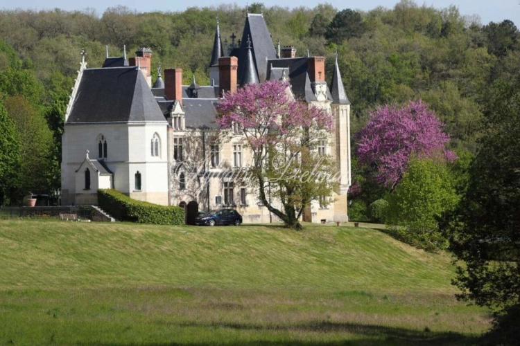 Photos 3 - Prestige - Propriete à vendre 50 pièces proche de TOURS (37)