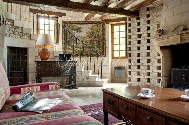 Photos 6 - Prestige - Propriete à vendre 50 pièces proche de TOURS (37)