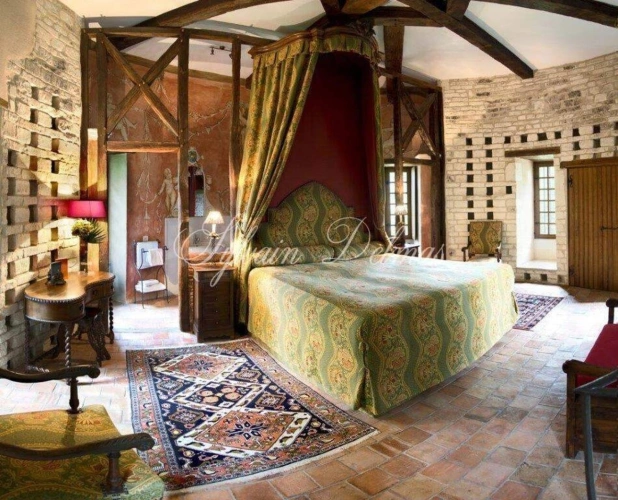 Photos 7 - Prestige - Propriete à vendre 50 pièces proche de TOURS (37)