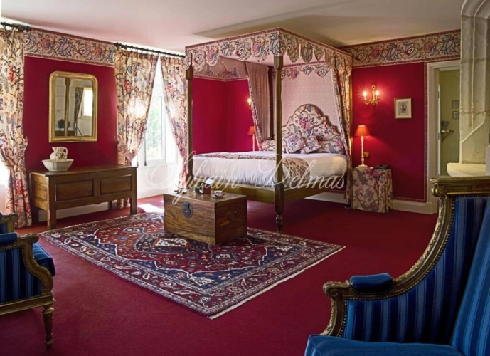 Photos 9 - Prestige - Propriete à vendre 50 pièces proche de TOURS (37)