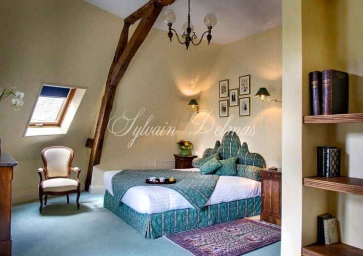 Photos 11 - Prestige - Propriete à vendre 50 pièces proche de TOURS (37)