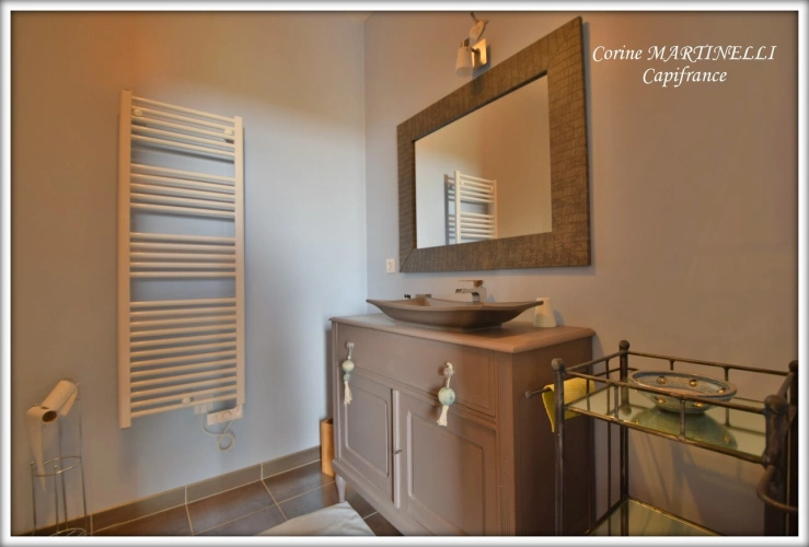 Photos 16 - Prestige - Propriete à vendre 22 pièces proche de AGEN (47) 4 habitations 885 m² + dépendances, 27 ha