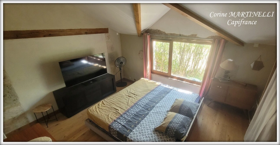 Photos 19 - Prestige - Propriete à vendre 22 pièces proche de AGEN (47) 4 habitations 885 m² + dépendances, 27 ha