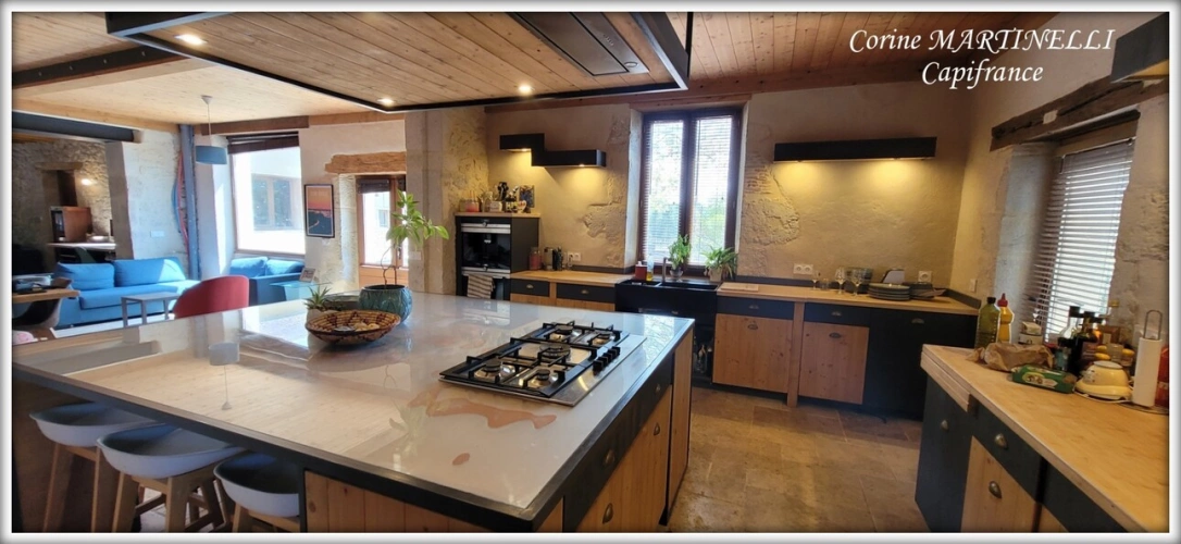 Photos 24 - Prestige - Propriete à vendre 22 pièces proche de AGEN (47) 4 habitations 885 m² + dépendances, 27 ha