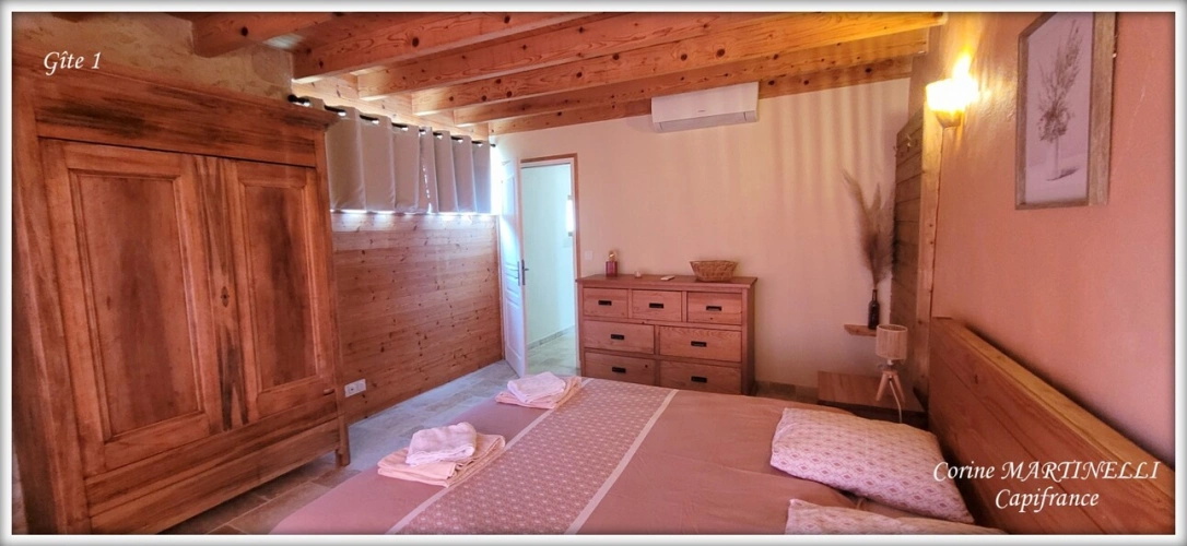Photos 30 - Prestige - Propriete à vendre 22 pièces proche de AGEN (47) 4 habitations 885 m² + dépendances, 27 ha